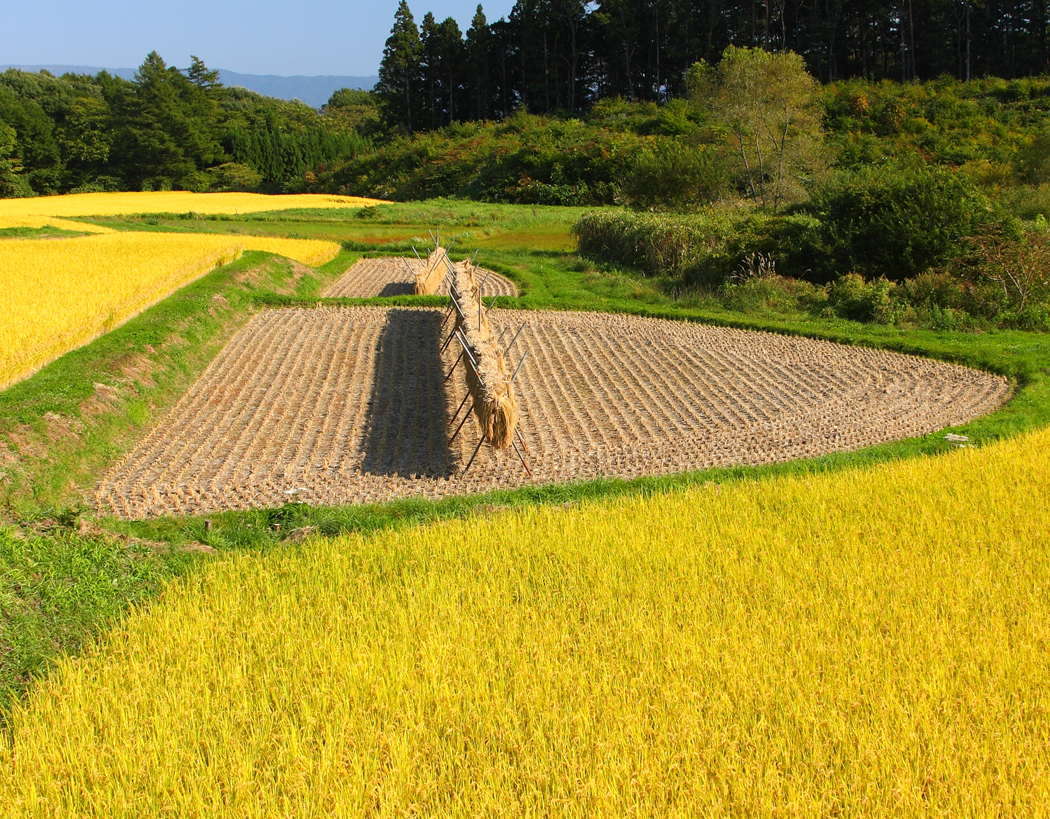 江刺区