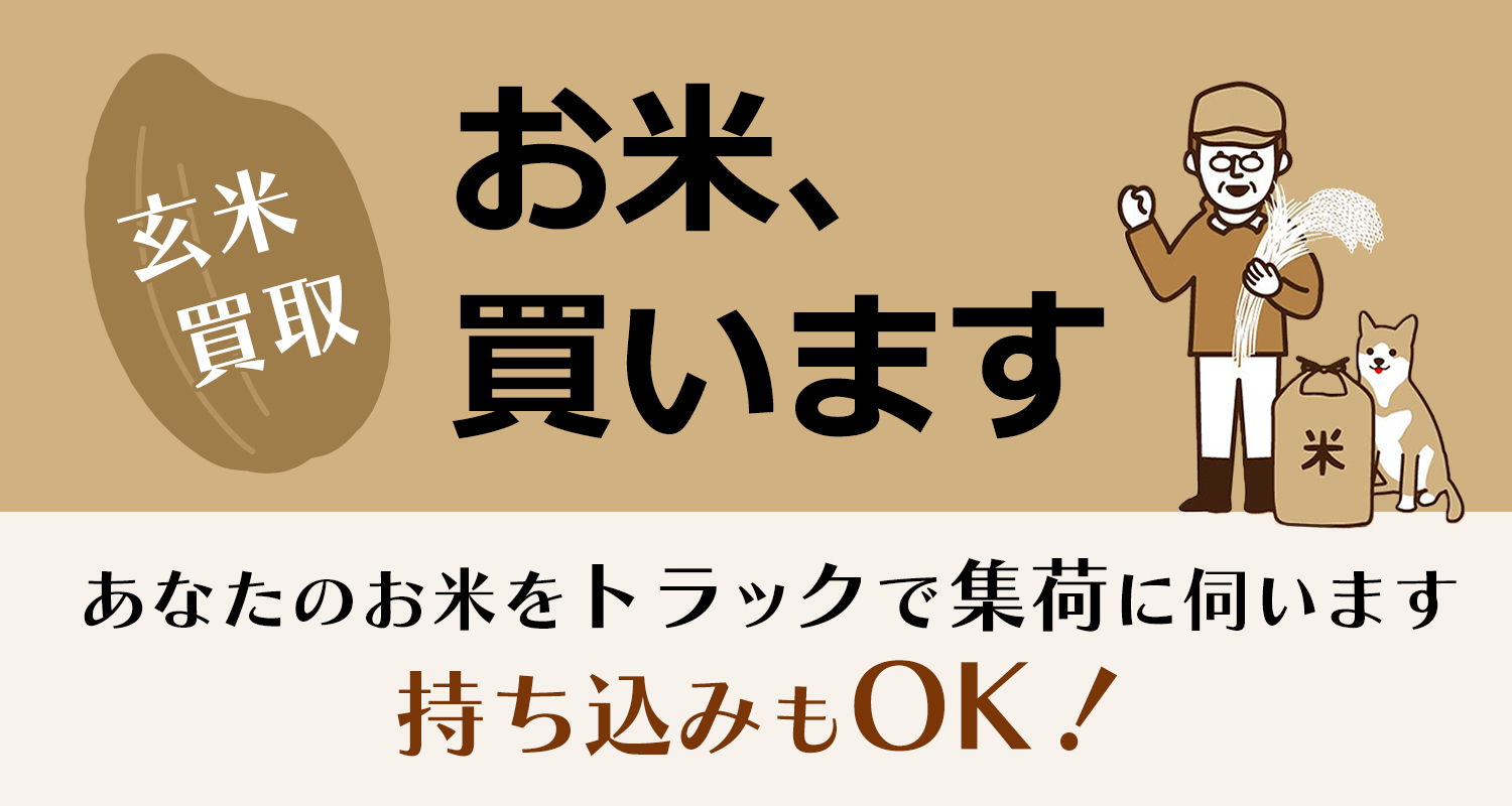 玄米買取 お米、買います あなたのお米をトラックで集荷に伺います 持ち込みもOK！